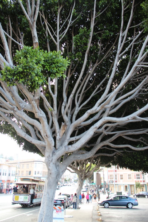 ���-���������